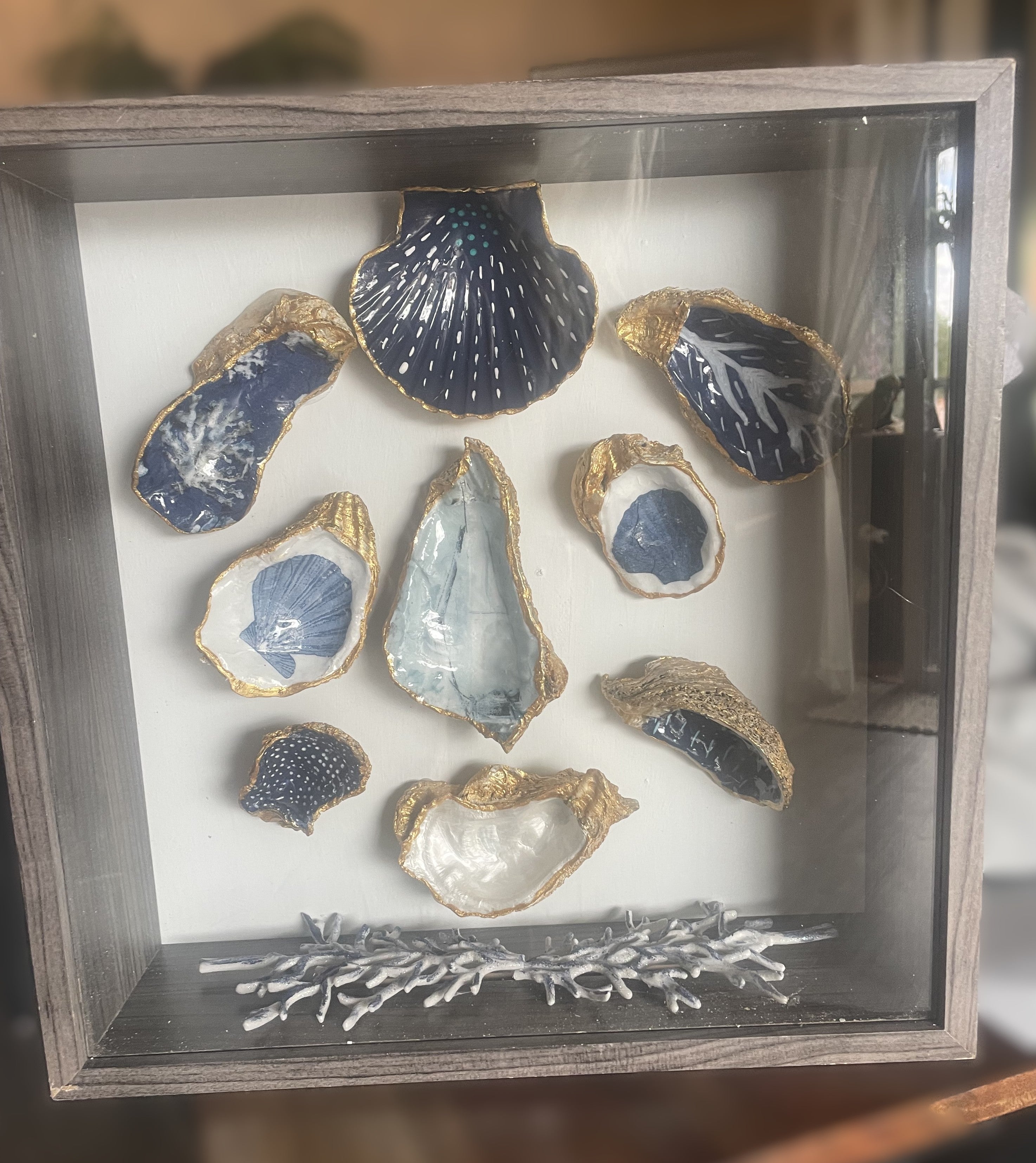 The Collector's Tide gilded shell shadowbox coastal wall art by The Golden Shoreline