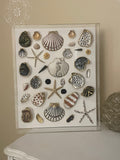 The Curated Coast- Gallery Collection
