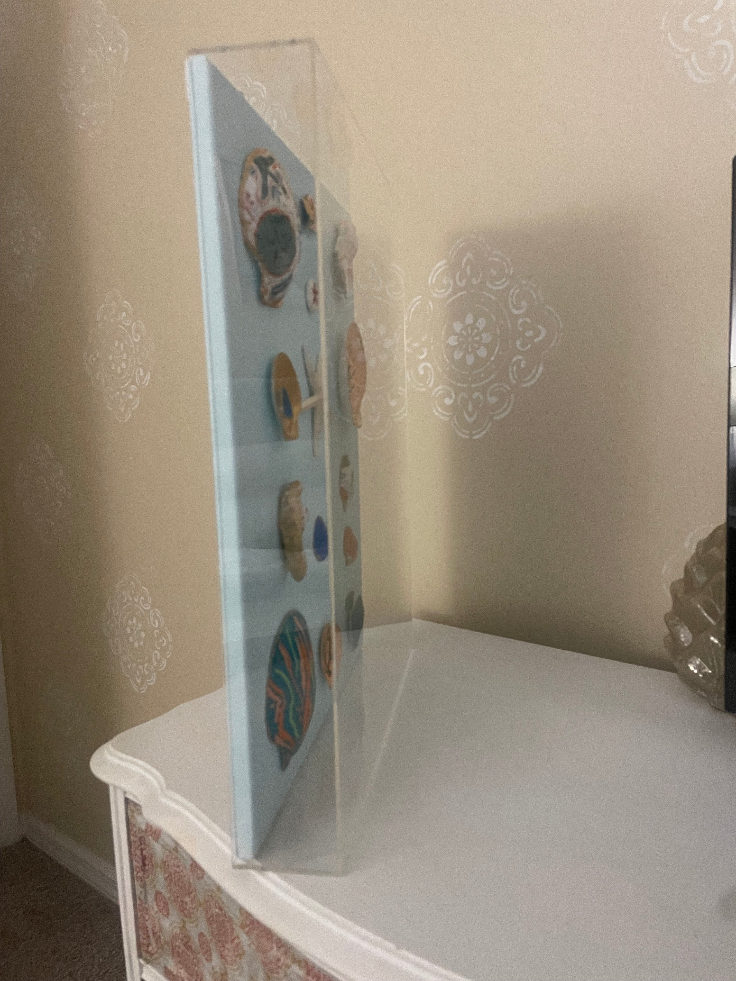 The Tidal Gallery: Hand-Painted Shell Collection Shadowbox