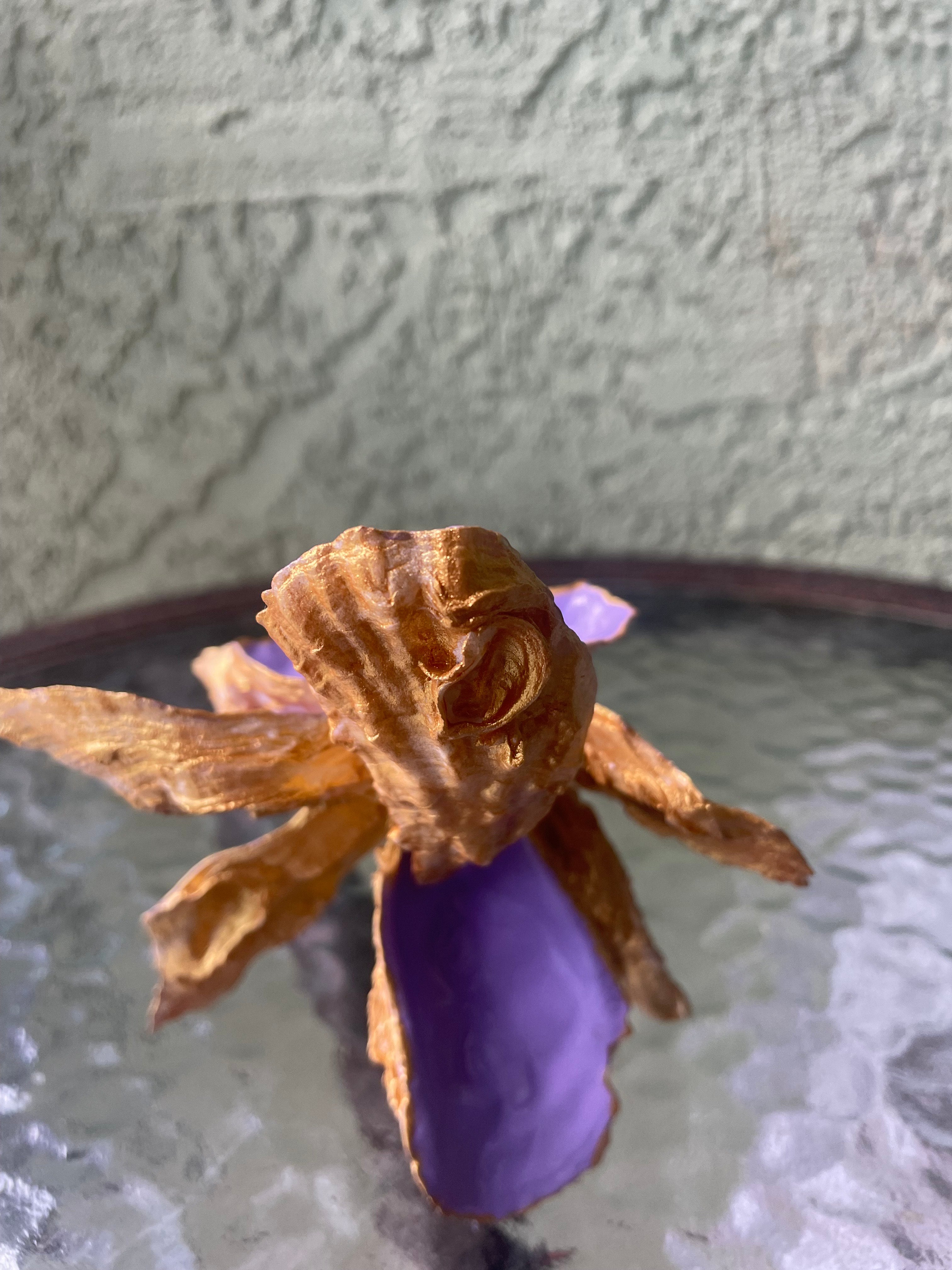 Gilded Iris Shell Flower