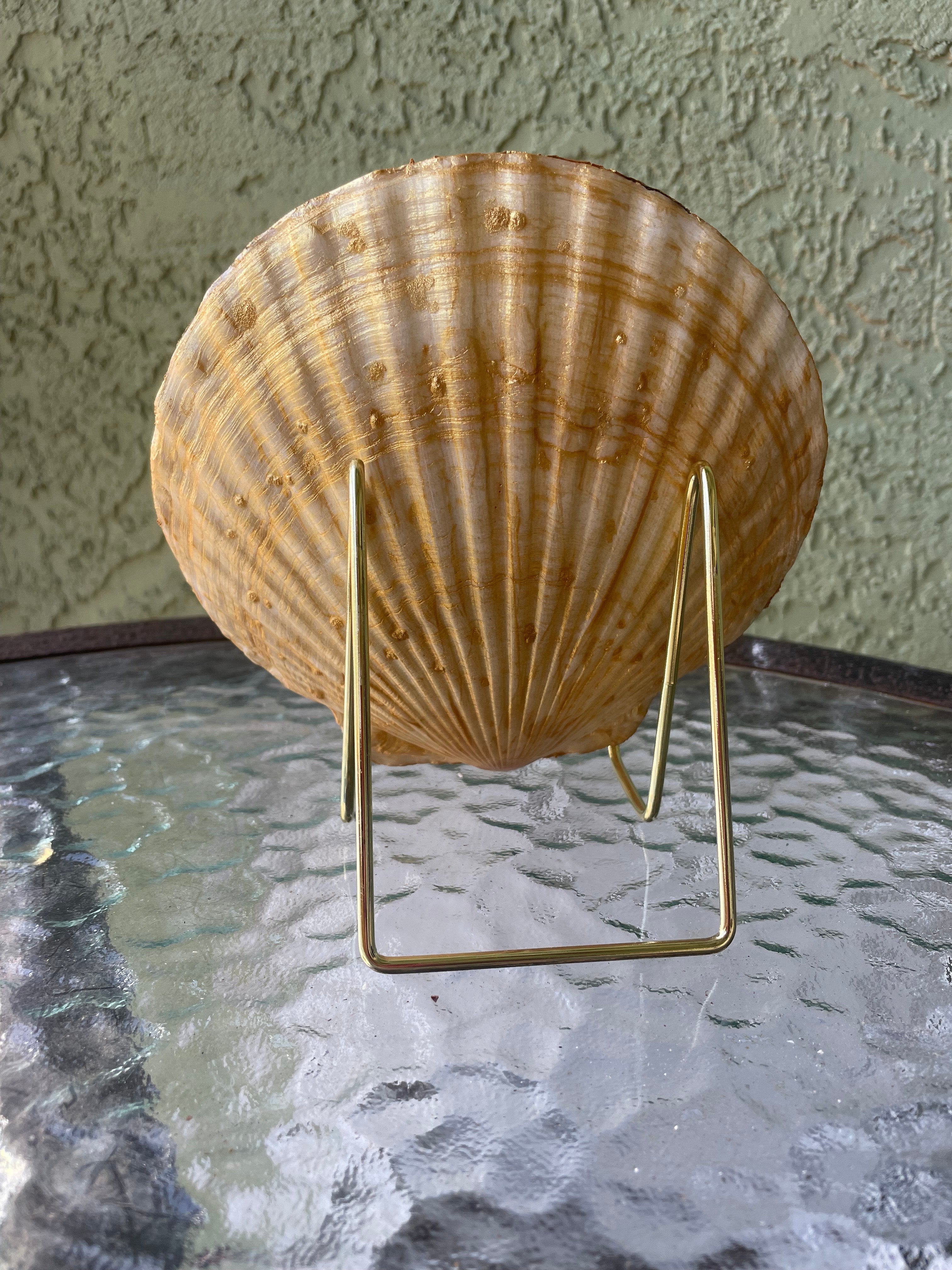 The Gilded Galleon