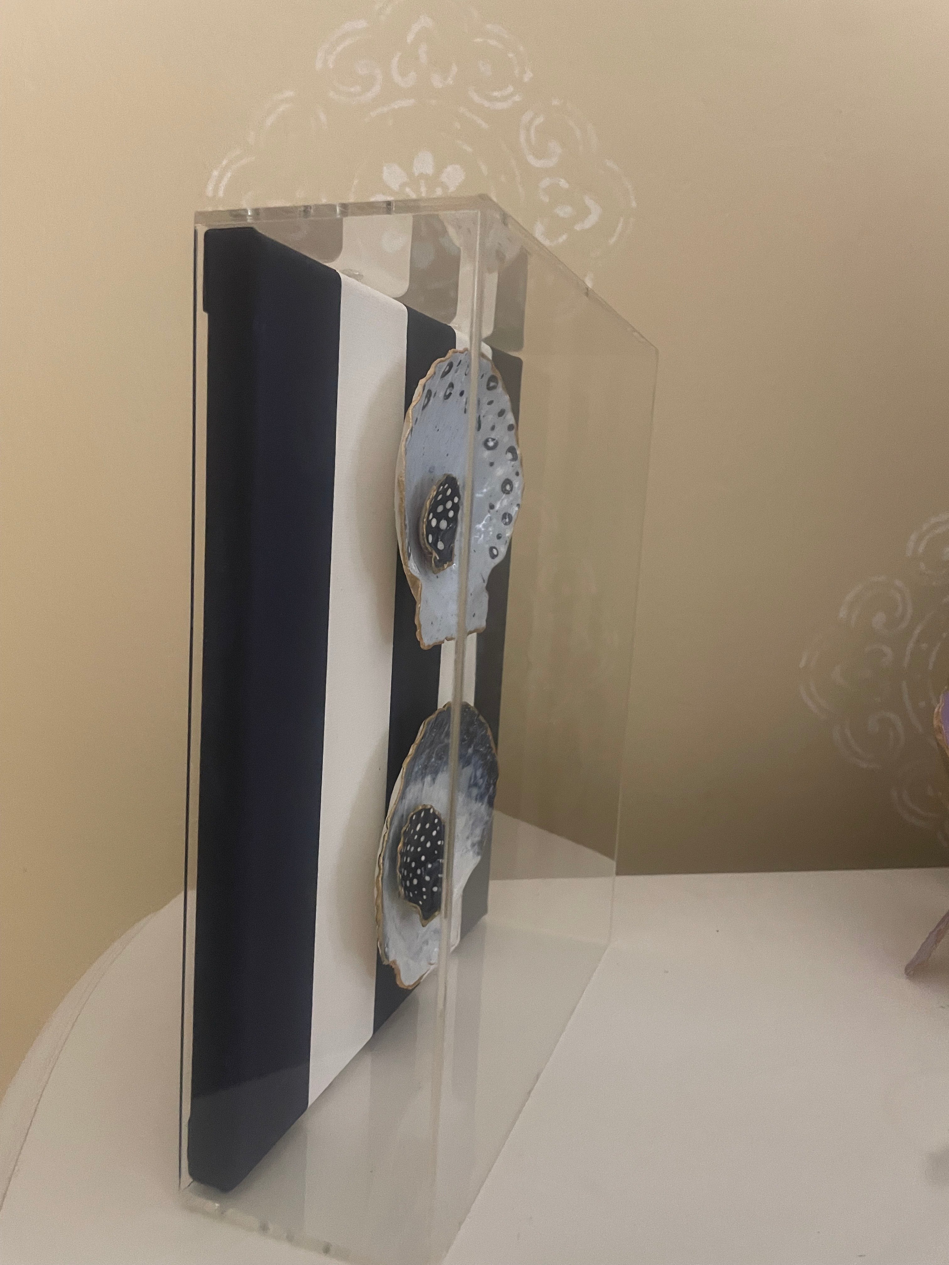 Nautical Shell Duo- Gilded Shell Shadowbox