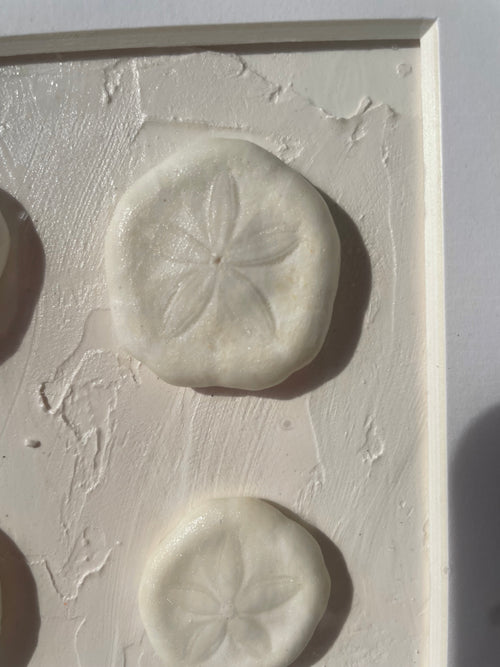 Close-up of natural sea biscuits with detailed petal pattern embedded in white textured surface, handcrafted coastal art by The Golden Shoreline
