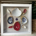 Anchors Aweigh gilded shell shadowbox coastal wall art by The Golden Shoreline"