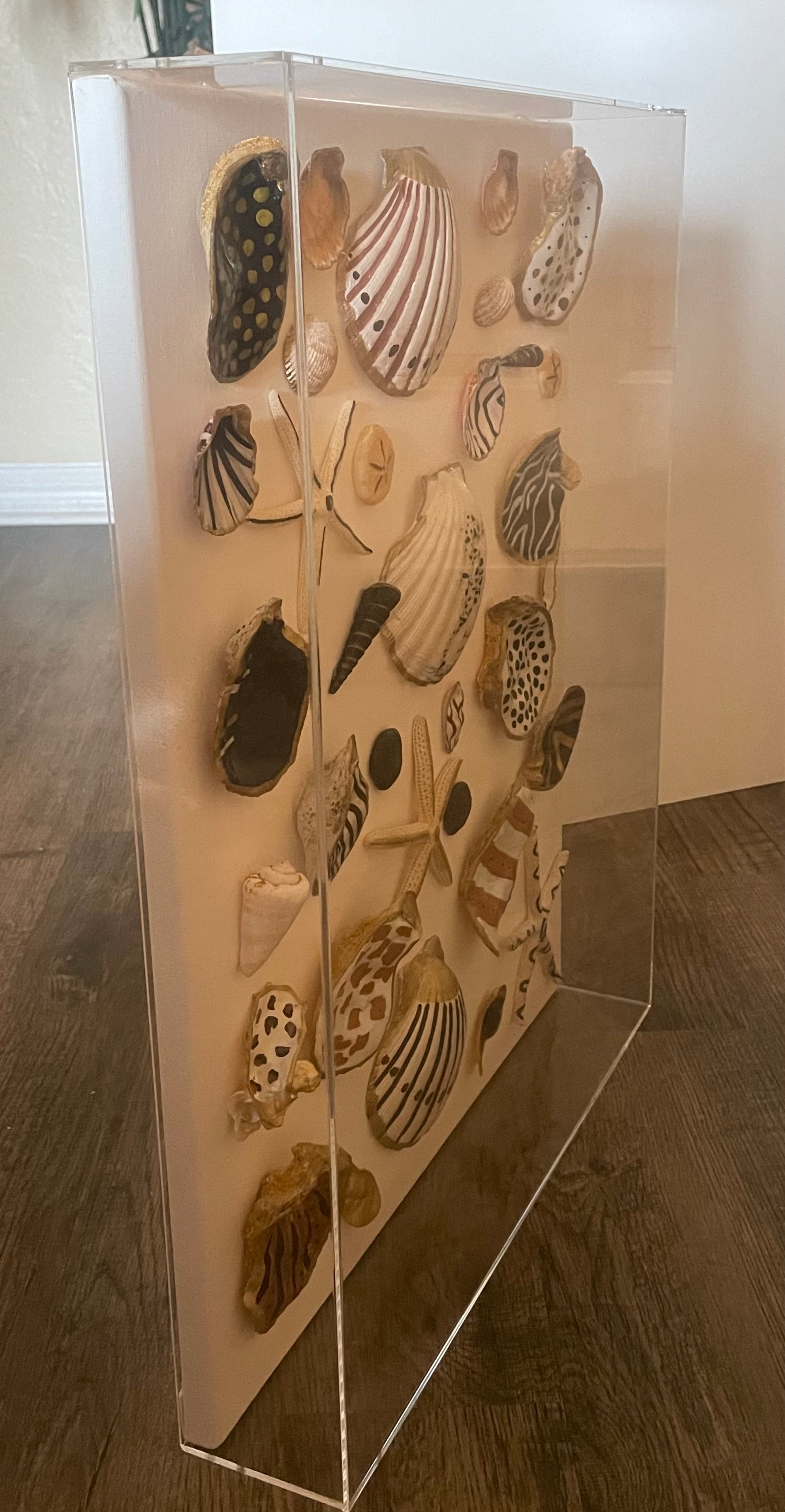 The Curated Coast- Gallery Collection